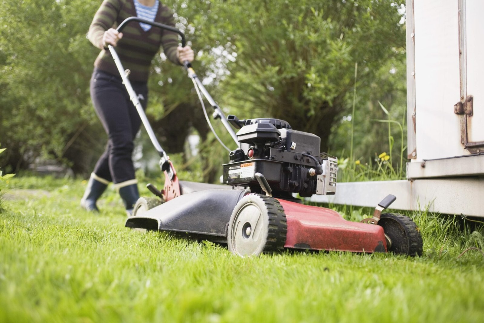 Lawn Mower Repair Service Rockford